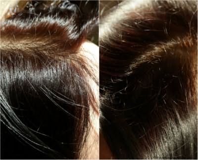 Травяная краска для волос Lady Henna фото