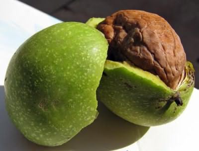 Кожура зеленых грецких орехов поможет восстановить натуральный черный цвет