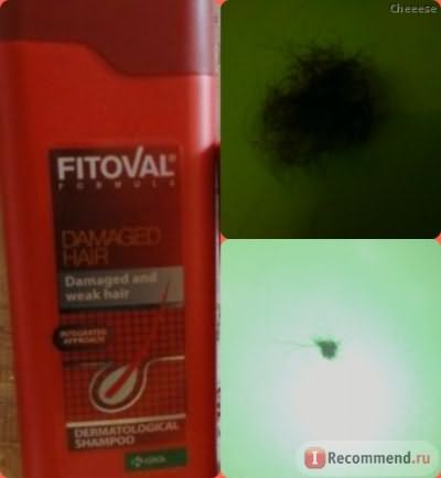 Шампунь Фитовал для поврежденных волос (Fitoval shampoo for damaged hair) фото