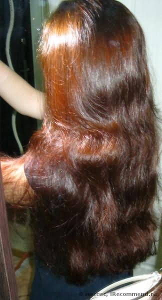 Хна для волос ФИТОкосметик иранская натуральная фото