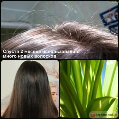 БАД Эвалар "Эксперт волос" для уменьшения выпадения волос и увеличение их объема фото
