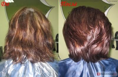 Краска для волос Selective Professional Evo фото