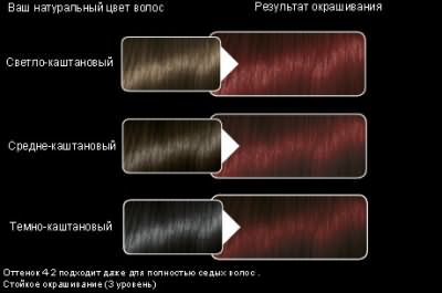 Краска для волос красное дерево (4-2) от Syoss