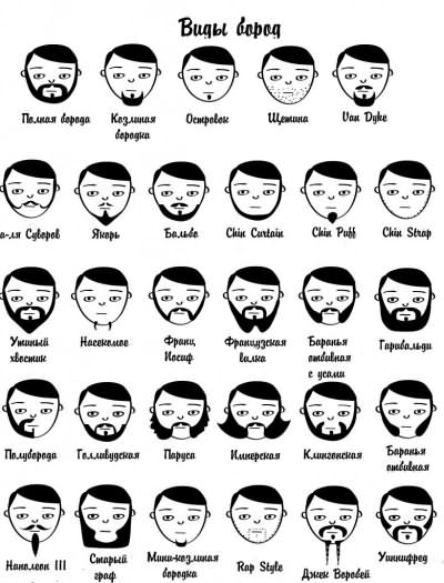 Различные виды бород
