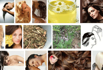 Могут ли от шампуня выпадать волосы – вопрос спорный, а вот ополаскивания травами убережет локоны от выпадения