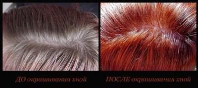 Применение хны на русых волосах